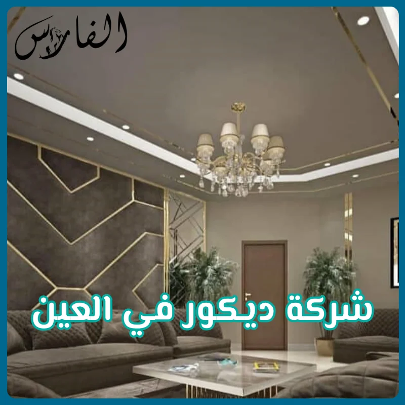 شركة ديكور في العين