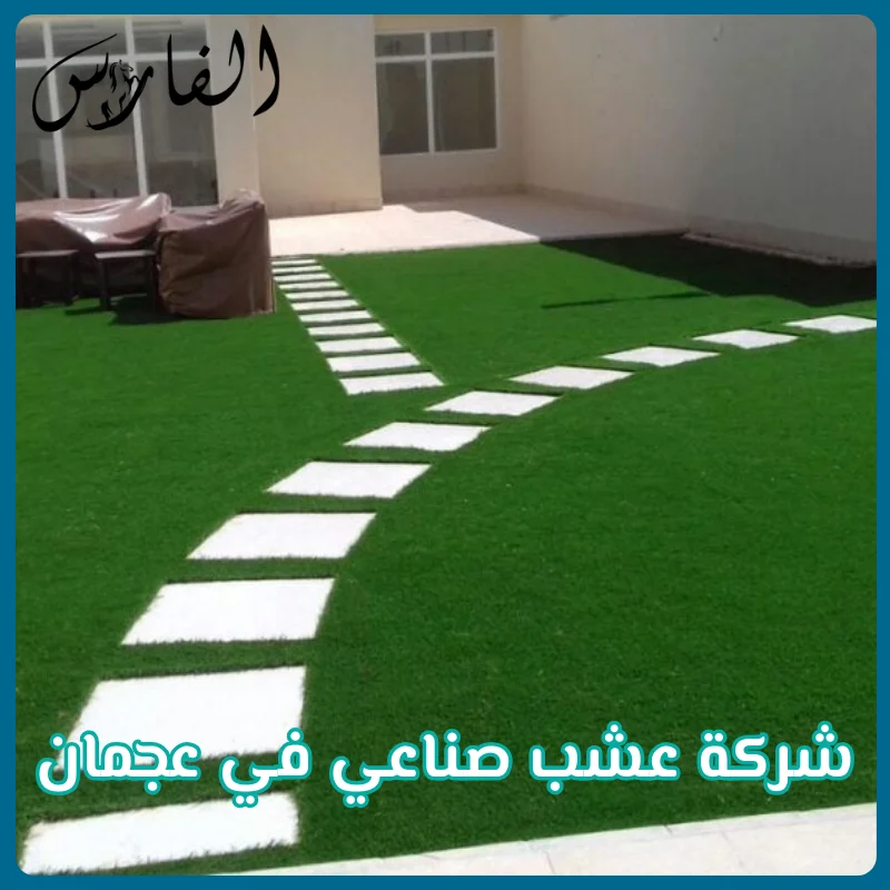 شركة عشب صناعي في عجمان