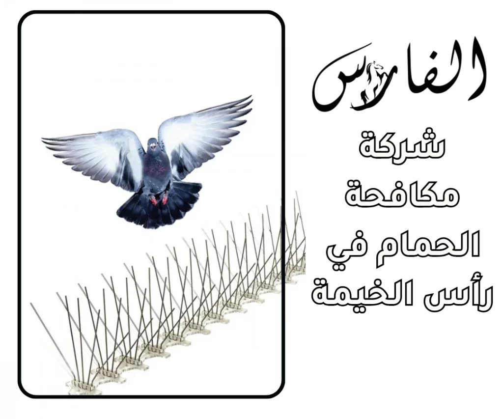 شركة مكافحة الحمام في رأس الخيمة